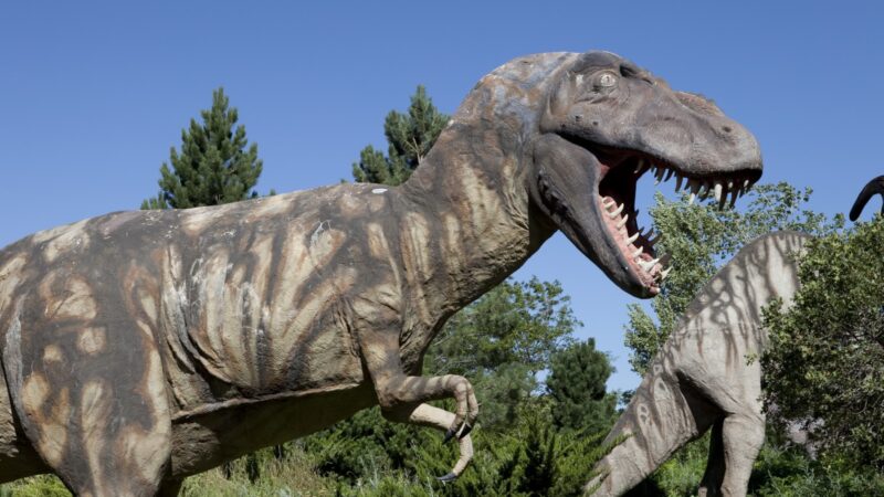 Utah and Back: Utah Dinosaur Park