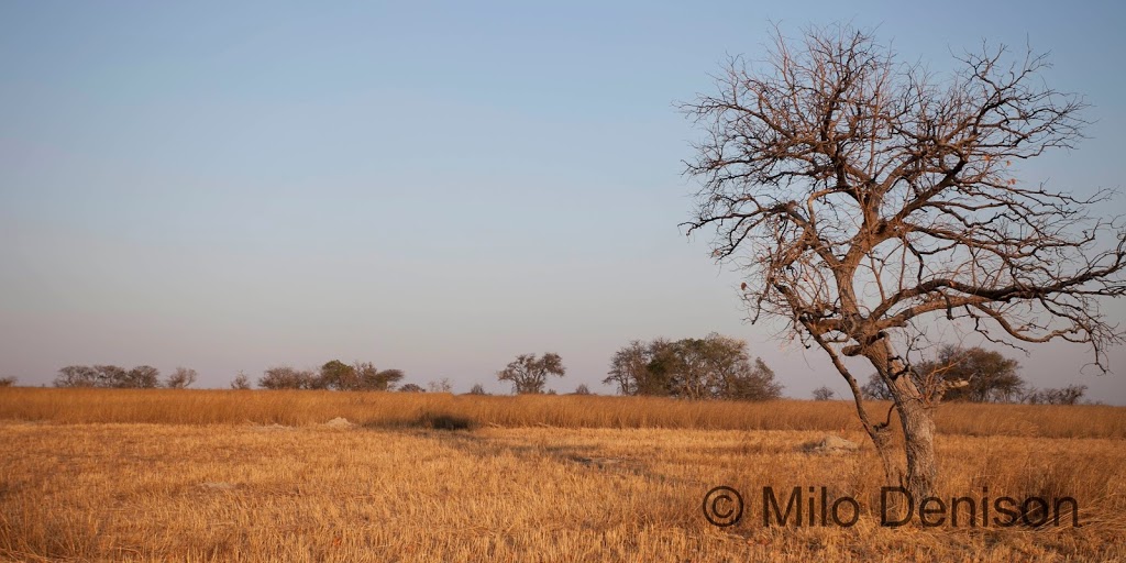 a photo of the African landscape
